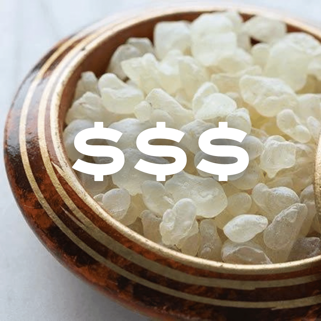 Why Is Mastic Gum So Expensive?