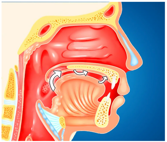 What Is Mewing and How It Can Improve Your Jawline?