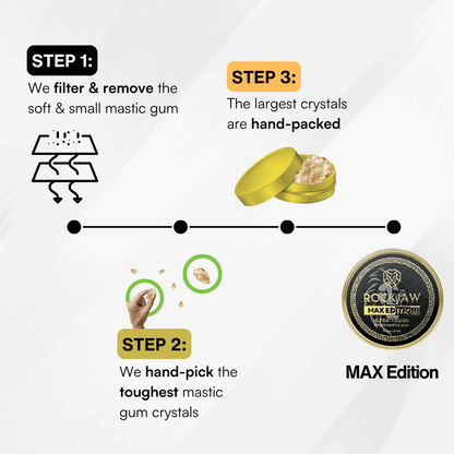 MAX Edition | Premium Hand-Picked Ultra-Tough Mastic Gum